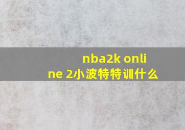 nba2k online 2小波特特训什么